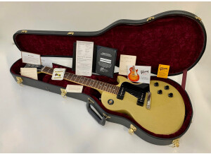 Gibson 1960 Les Paul Special Single Cut (11996)