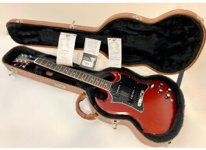 Gibson SG Signature Pete Townshend (15669)