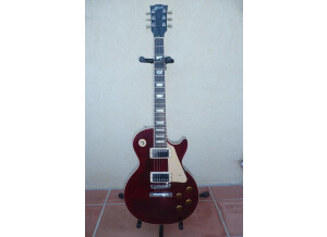 Gibson Les Paul Standard 60's (46427)