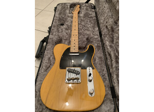 Fender American Professional Telecaster (69181)