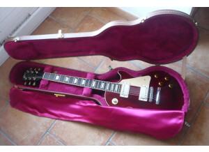 Gibson Les Paul Standard 60's (13678)
