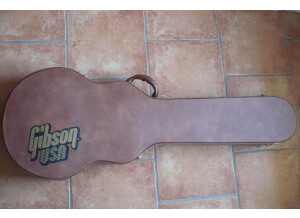 Gibson Les Paul Standard 60's (24852)
