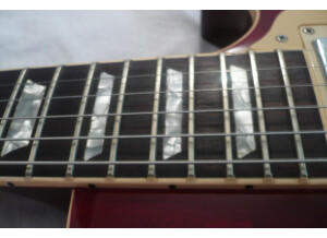 Gibson Les Paul Standard 60's (6249)