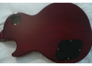 Gibson Les Paul Standard 60's (22058)