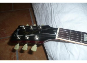 Gibson Les Paul Standard 60's (3229)