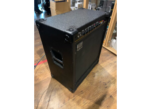 Roland Cube-100 Bass (3749)
