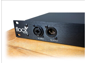 Flock Audio Patch LT