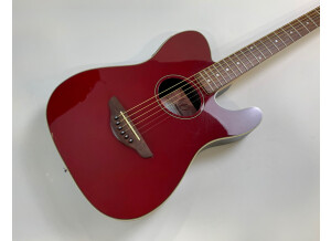 Fender Telecoustic [2000-2005] (50722)