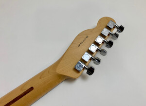 Fender Tele-Bration Lite Rosewood Telecaster (87207)
