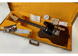 Fender Tele-Bration Lite Rosewood Telecaster (57907)