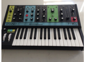 Moog Music Grandmother (96189)