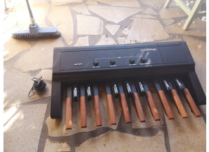 Fatar / Studiologic MP-117 (9698)