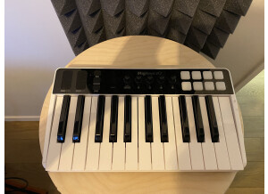 IK Multimedia iRig Keys I/O 25 (40015)