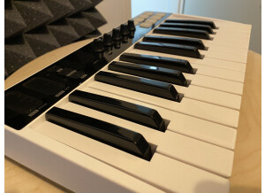 IK Multimedia iRig Keys I/O 25 (74112)