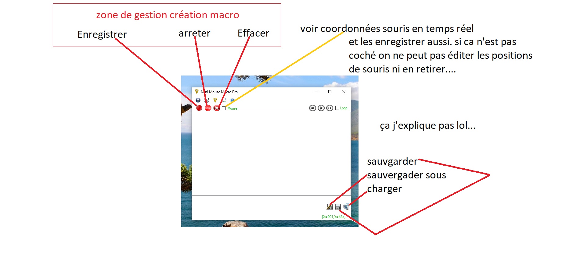 MacroSystem MiniMouseMacro : 1 comment utilisé mmm