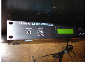 Roland D-110 (10107)