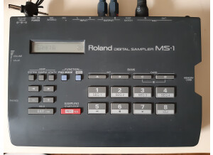 Roland MS-1 (89961)