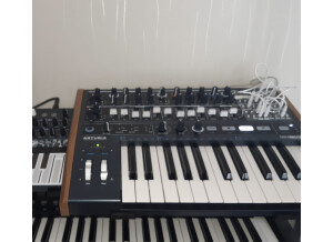Arturia MiniBrute 2 (76605)