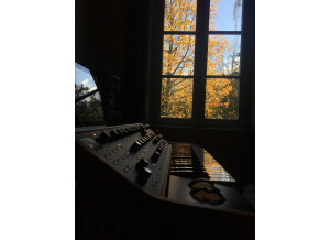 Moog Music SUB 37 (60621)