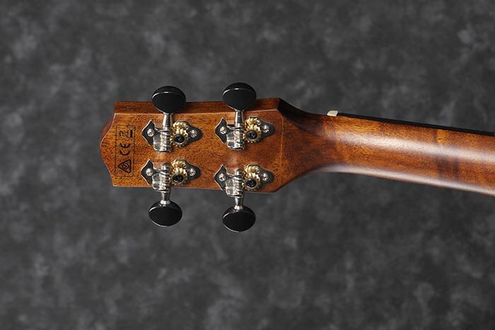 ukuleleibnanez ukuleleibnanez