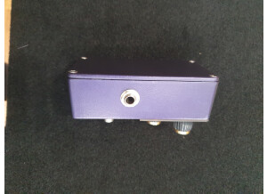 Vemuram Karen (29908)