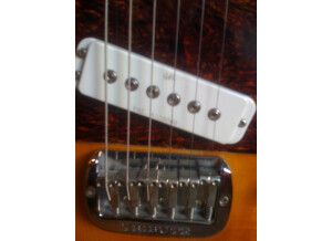 G&L Tribute ASAT Special (34154)