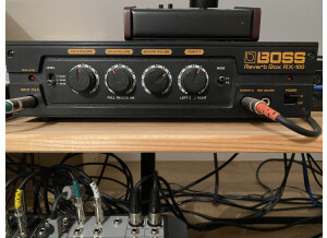 Boss RX-100 Reverb Box (73776)