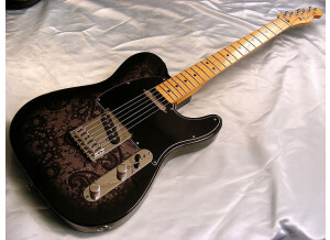 Fender FSR 2012 Standard Telecaster Black Paisley (5221)