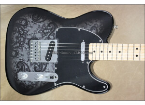 Fender FSR 2012 Standard Telecaster Black Paisley (51364)
