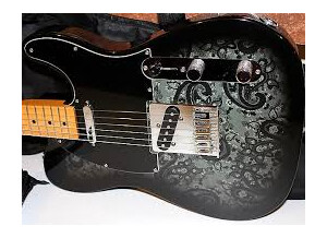 Fender FSR 2012 Standard Telecaster Black Paisley (43938)