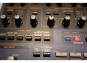 Roland JP-8080 (9925)