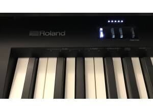 Roland FP-10 (14039)