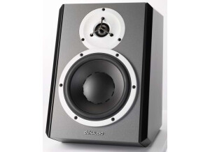 Dynaudio DBM50 (34881)