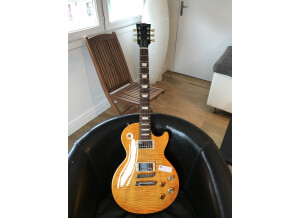 Gibson Les Paul Signature Gary Moore (77012)