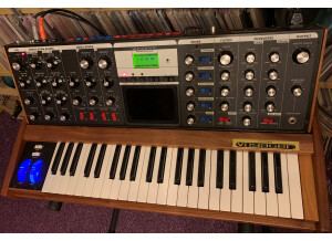 MOOG VOYAGER (6).JPG