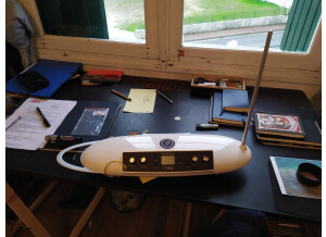 Moog Music Theremini (25081)