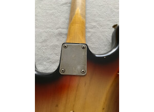 Nash Guitars S63 (83403)