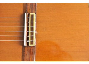 Alhambra Guitars 9C (78309)