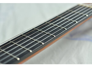 Alhambra Guitars 9 C