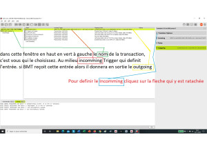 les différentes zones de Bmt