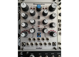 Intellijel Designs Morgasmatron (50246)