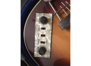hofner 6