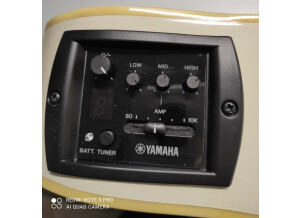 Yamaha APX600 (45175)