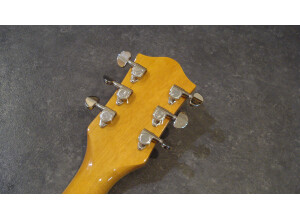Gretsch G2420 Streamliner (60319)