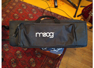 Moog Music Theremini (96637)