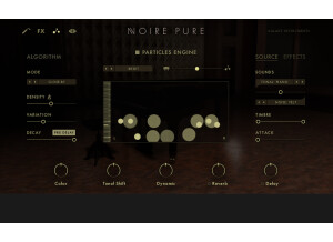 NoirePureParticule