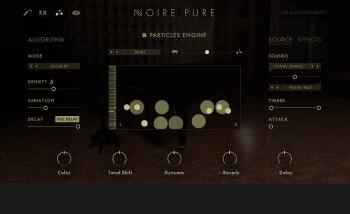 NoirePureParticule NoirePureParticule