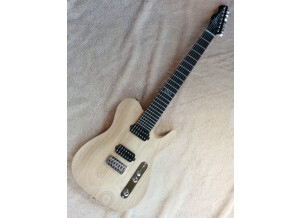 Chapman Guitars ML-7 T (37432)