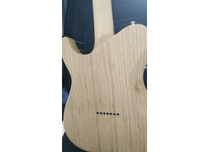Chapman Guitars ML-7 T (33583)