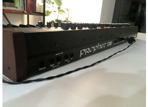Dave Smith Instruments Prophet 08 Pot Edition (69917)